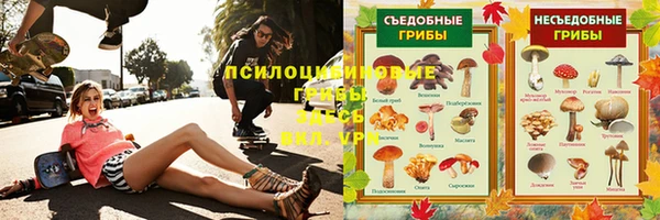 ПСИЛОЦИБИНОВЫЕ ГРИБЫ Верея